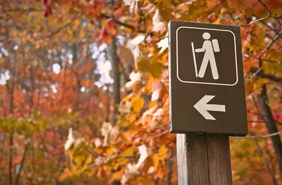 Amazing Fall Hikes